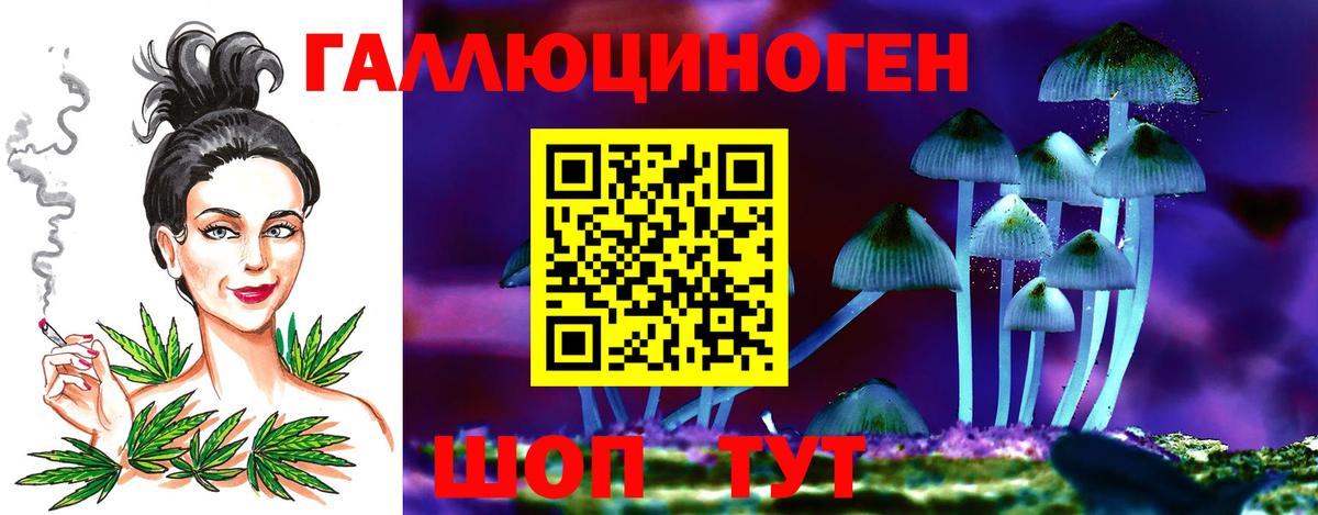 где можно купить наркотик  Псилоцибиновые грибы ЛСД  Вход с VPN  Пермь 